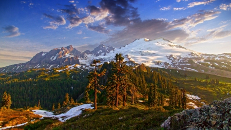 Morning Light, North Cascades NP - clouds, trees, beautiful, snowy peaks, Washington State, sunrise, forest, mountains, sky