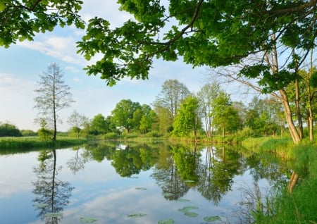 At the lake - summer, lake, reflection, view, tree