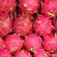 Dragon fruit