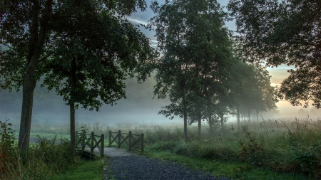 tiny bridge in morning fog - countryside, fog, creek, morning, bridge