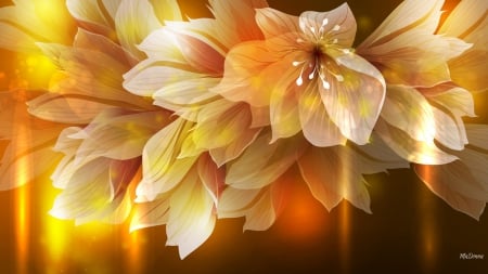 Fire Lilies - abstract, lilies, summer, hot, light, flowers, fall, fire, shine