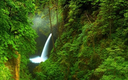 Oregon - forest, usa, oregon, river, valley, waterfall, trees, nature