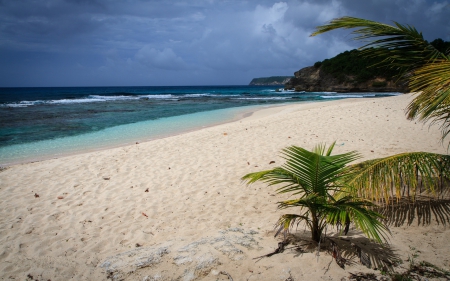 Beach - beach, sand, sky, nature