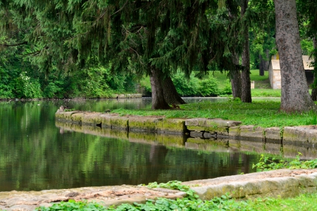 Serene Park Scene - scenic nature, Serene Park Scene, serene scene, peaceful nature, tranquil nature, serene nature