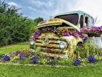 Unusual Flower Garden