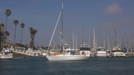 Channel Islands Harbor - Trees, Water, Islands, California, Channel, Palm, Boats, Sky