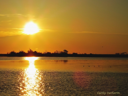 A Golden Sunset on the Bay - sky, sun, water, sunset, marsh, waterfowl, bay, gold, nature, reflection, clouds, birds