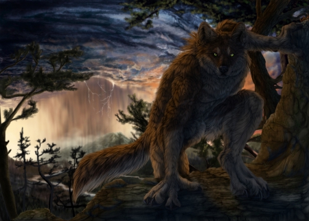 Werewolf - werewolves, wolves, dark, animals, desert, sunrise, werewolf, storm