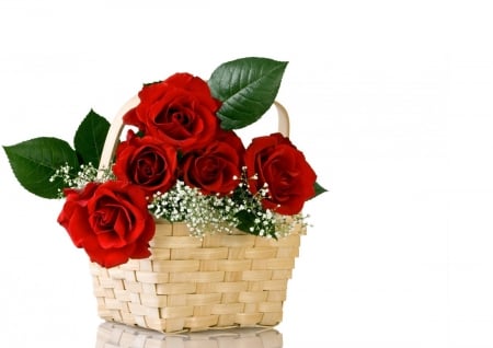 Basket of roses - flowers, red, basket, rose