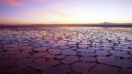 the great salt lake at dawn - pools, salt, lake, dawn