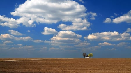 lonely rural home under big sky - sky, clouds, house, fields, trees