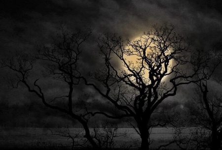 Lost in Dreams - moon, night, tree, trees