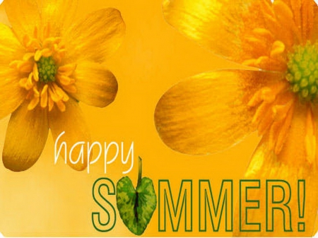 Summer sun - sunny, flowers, happy summer, yellow