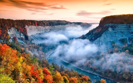 Foggy Sunrise - new york, morning mist, autumn, canyon, forest, beautiful, river