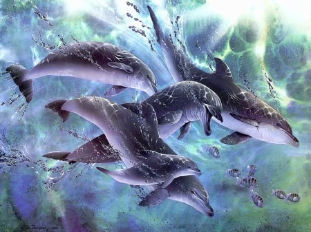 Water games - colorful, game, beautiful, dolphin, splendor, color, lovely, animals