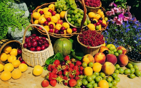 Fruits - cherries, hd, abstract, photography, melon, apples