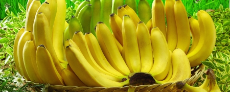 Banana Basket - HD, Photography, Fruit, Banana, Abstract