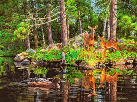 Neighbors - trees, animals, painting, neighbors, art, quiet, pretty, reflection, calmness, deers, pond, swim, lake, summer, lovely, serenity, nature, tranquility, ducks, forest, beautiful, friends, roe