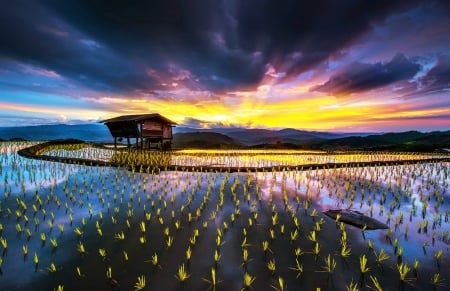 Lovely sunset - hut, lake, sky, houses, sundown, sunset, plants, serenity, nature, reflection, calmness, clouds