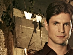 Gale Harold