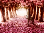 flower path