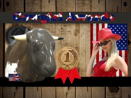 Cowgirl Awards - women, fun, female, fashion, bulls, prizes, Americana, cowgirls, style, flags, westerns