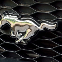 Mustang Logo