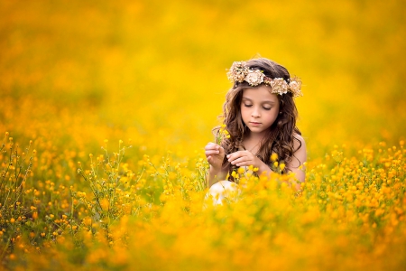 Field of Gold - pretty, bokeh, sweetness, beautiful, splendor, flowers field, girl, sweet, child, flowers, nature, princess, face, field