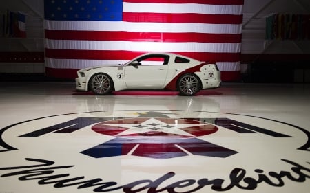 2014-US-Air-Force-Thunderbirds-Edition-Ford Mustang - white, air force, flag, logo