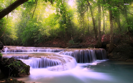 Forest Waterfall - nature, forest, trees, waterfall