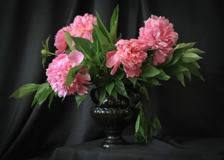 * Peonies * - flowers, nature, flower, pink, peonies