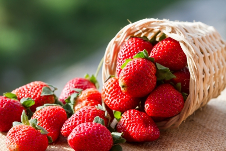 â™¥Strawberryâ™¥ - fresh, strawberry, basket, berries