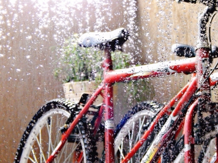 Rainy Day - rain, day, plant, basket, bicycles