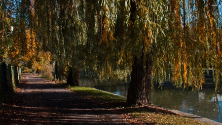 lakeside road in autumn - lake, road, leaves, trees, autumn