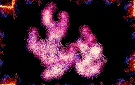 Fireworks - black, by cehenot, purple, fire, flame, pink, fireworks