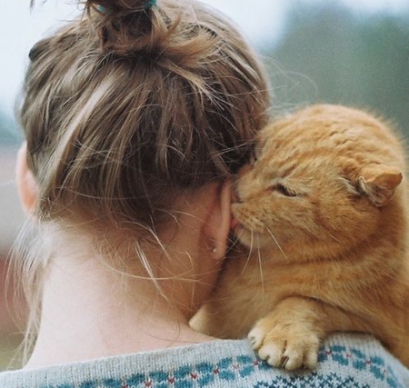 cool moment - girls, people, cool, cats, photography, animals, cute