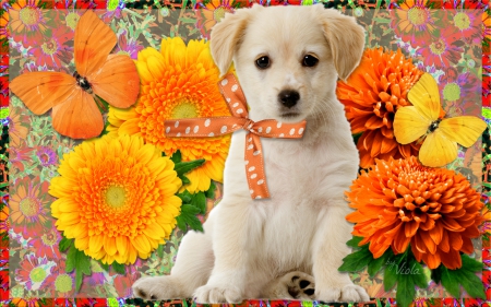 Cute Puppy - butterflies, dog, orange, flowers, animal, design, cute, puppy, bow