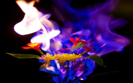 Smoke and Flowers - flowers, abstract, nature, 3D and CG, smoke