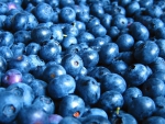 Blueberries