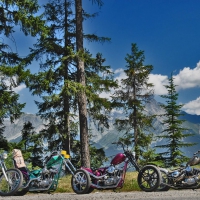 Harley Bikes