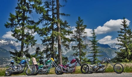 Harley Bikes - harley, chopper, motorcycle, bike