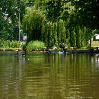A Day At The Park