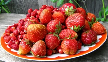 * Strawberries * - fresh, berries, fruits, nature