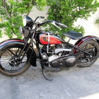 flathead