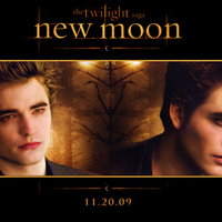 New Moon Edward Cullen