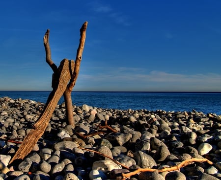 Stone Beach - logs, ocean, beach, stones