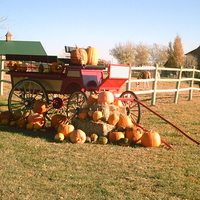 Wagon of Pumpkins