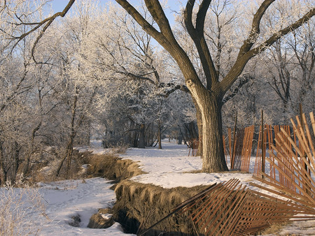 Winter Landscape - trees, winter, rock, snowy landscape, fence