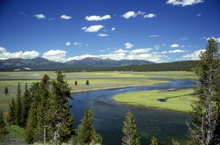 Yellowstone River - river, trees, hayden valley, mountains, gras