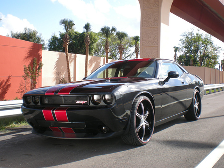 2008 Dodge Challenger SRT8 Cartel Customs